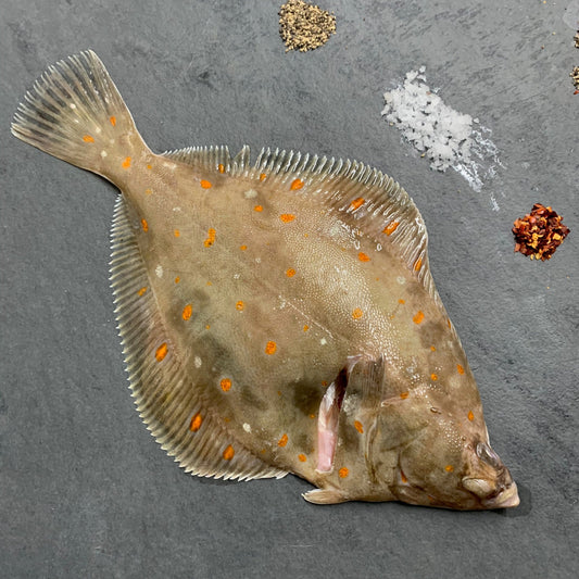 Wild Plaice on a slate background, from Hamiltons Fish
