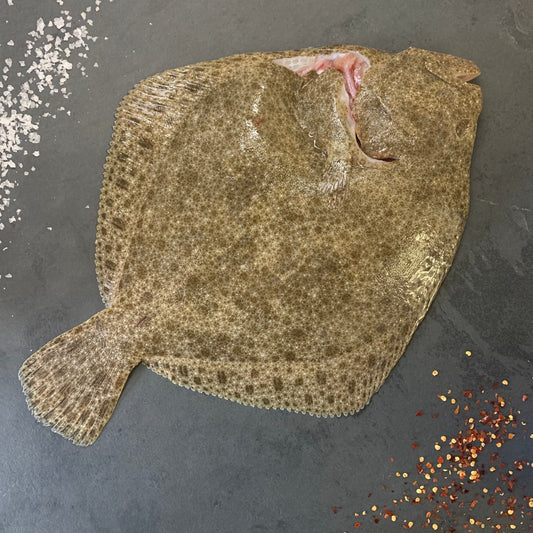 Wild Turbot on a slate background, from Hamiltons Fish